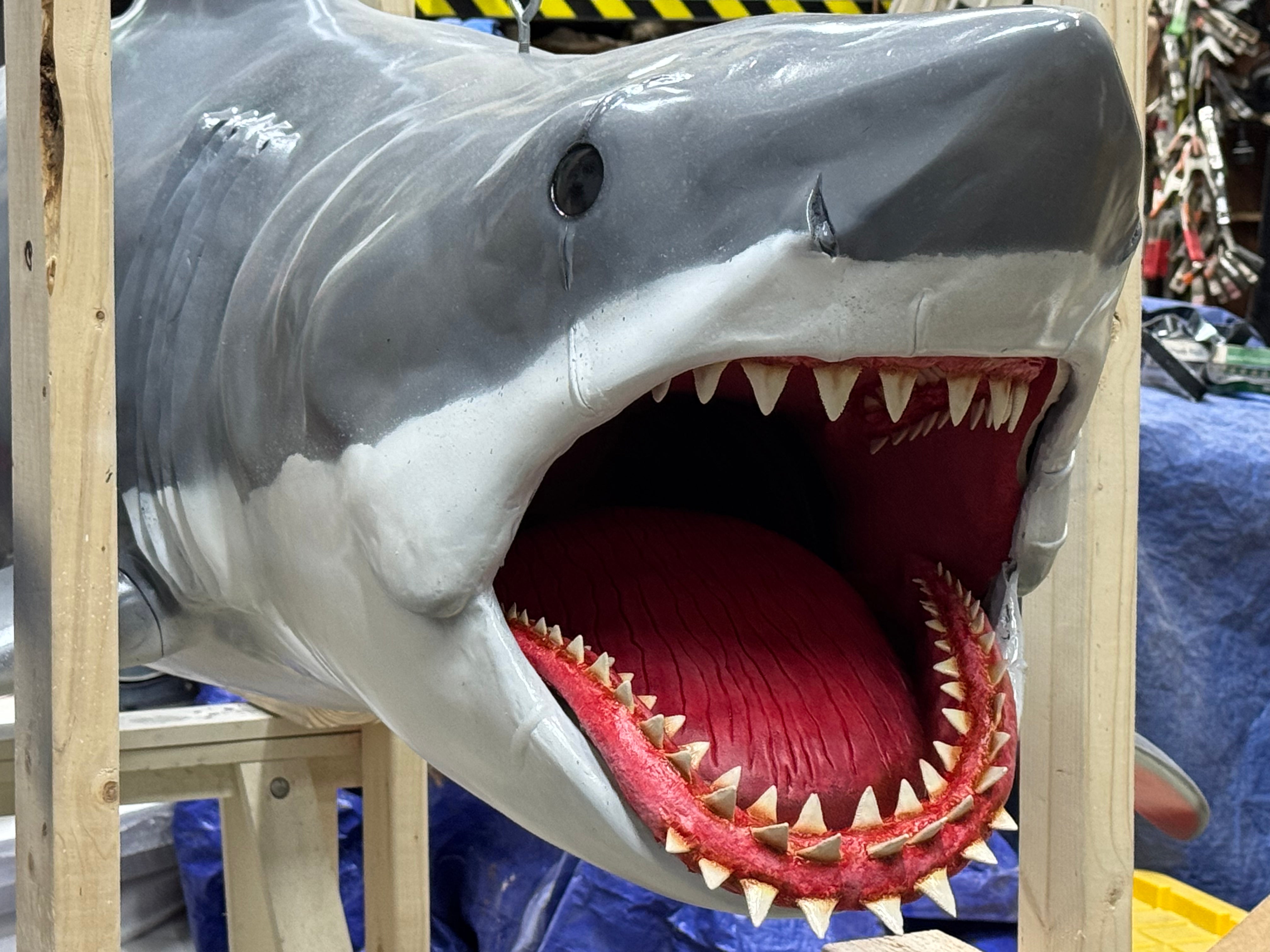 'Bruce' the shark from JAWS replica | 1:3 scale – The Daily Jaws Store