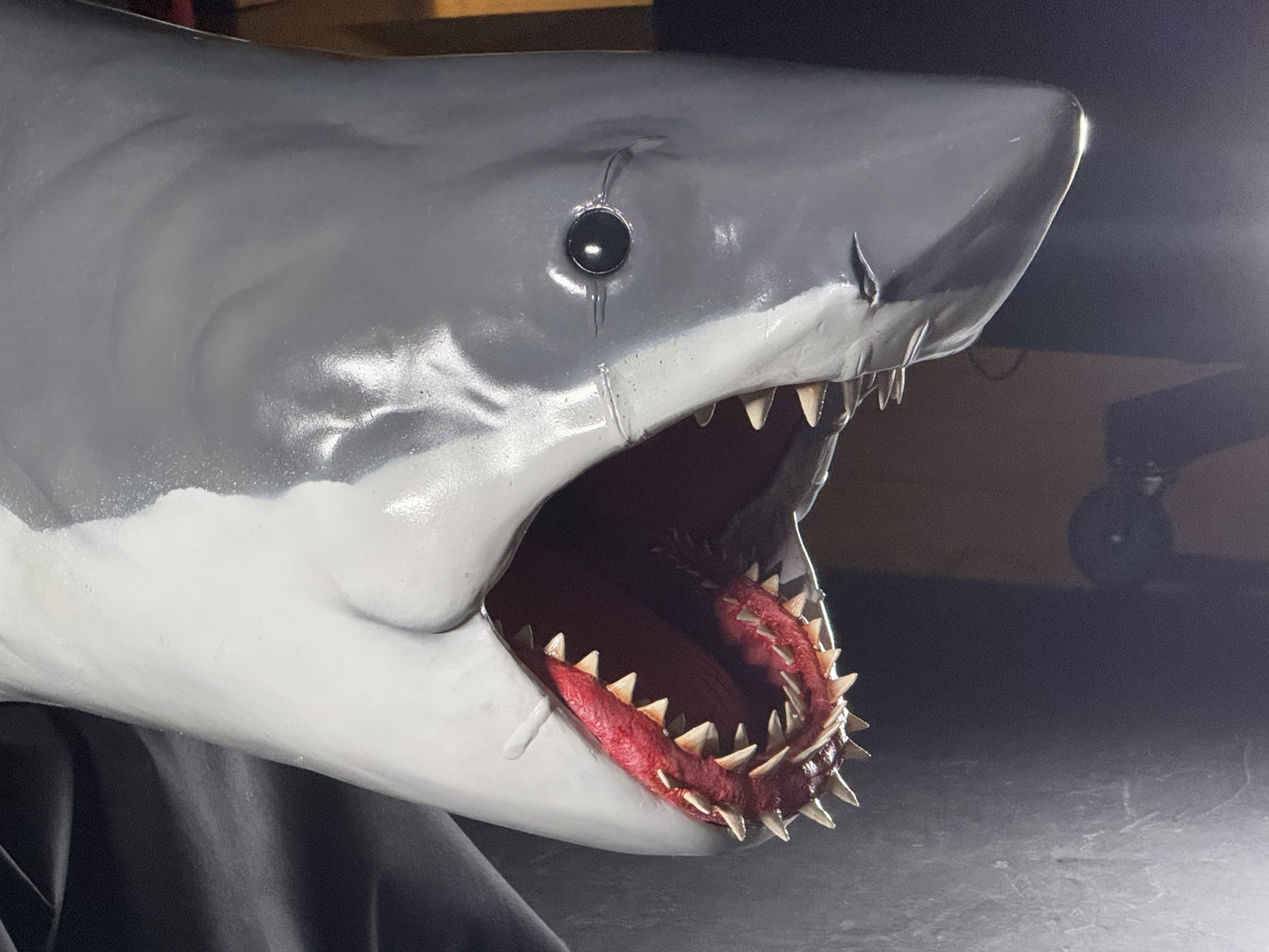 'Bruce' the shark from JAWS replica | 1:3 scale