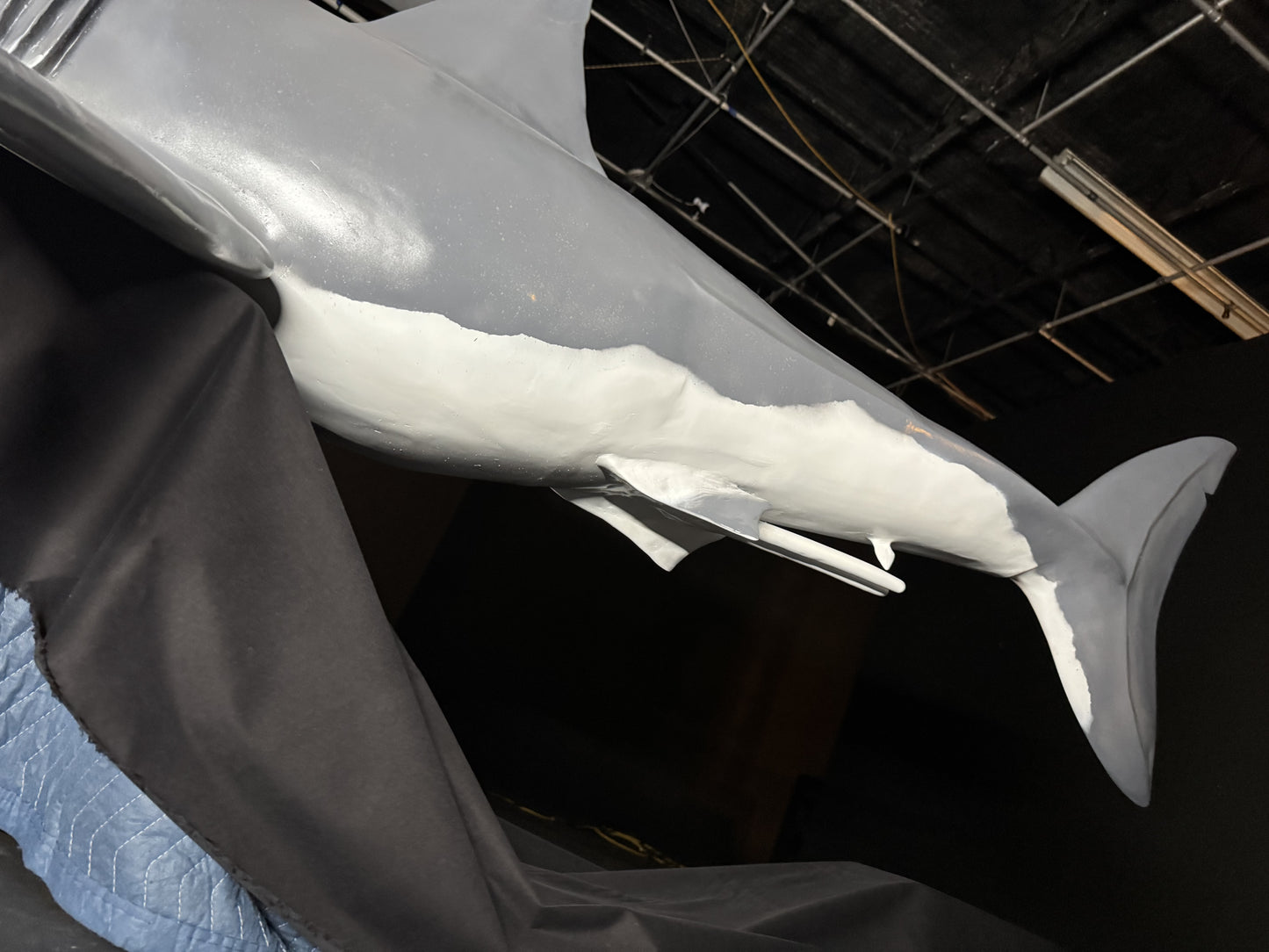 'Bruce' the shark from JAWS replica | 1:3 scale