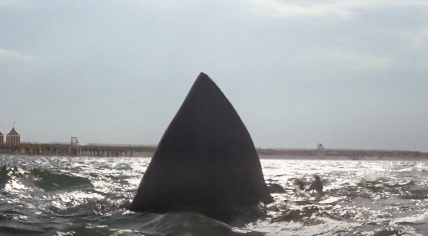 Replica fake shark fin from JAWS
