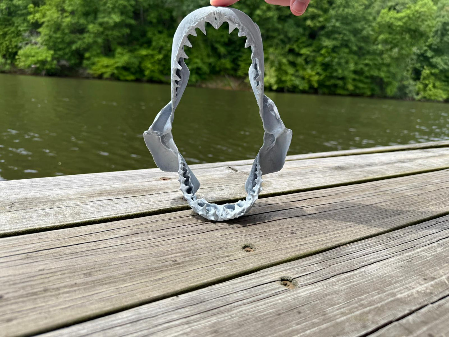 Shark Jaws